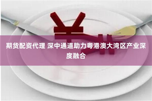 期货配资代理 深中通道助力粤港澳大湾区产业深度融合